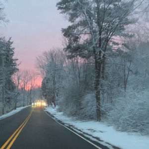 Meet your Posher, Sue